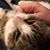 Remy Rambles's profile image