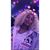 Sylviä Hintön's profile image