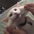 Huxley Meekins's profile image