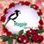 DeLaine Katus's profile image