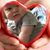 Tammi Sundie's profile image