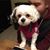 Kevin Joseph LoBianco's profile image