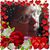 Sue E Joslyn's profile image