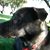 Kristi Grisdale Gage's profile image