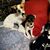Jennifer Suzanne Bundy's profile image