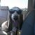 Julie Mosley's profile image