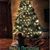 Kimberly Litton's profile image
