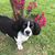 Lynette Mckinney's profile image