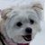 Beverly Sna's profile image