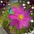 Jane Dickey's profile image