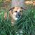 Jack Kendall's profile image