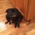 Diane Kennedy Keller's profile image