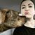 Donna Kopf's profile image