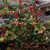 Ann Brinson Gassaway's profile image