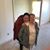 Melody Williams Davis's profile image