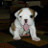 ~Stacey~'s profile image