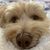 Gloria Yebra Aguirre's profile image