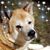 Nansi Raum Mitchell's profile image