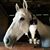Kimberly K.'s profile image
