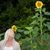 JoAnn Sherman's profile image