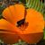 Brian Wegener's profile image
