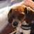 Amy Newell Verseman's profile image