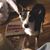 Buddy-Brenda Cook's profile image