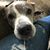 Cynda Lavender's profile image
