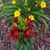 Virginia Havlicek's profile image