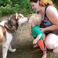 Lisa Carroccio's profile image