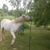 Dale Duane's profile image