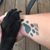 Jamie Koscevic Falconer's profile image