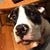 Steve Taylor's profile image
