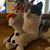 Marianne Jonsson's profile image