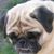 Deb Beckert Maciejewski's profile image