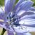 Lisa Kay Wynn's profile image