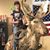 Nicole Schmidt's profile image
