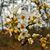 Nancy Dole Mackenzie's profile image