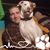 Matthew Mcmahan's profile image