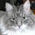 George Butler's profile image