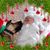 Katy Christenson's profile image