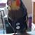 Kenneth Gilbert's profile image