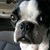 Helen Pappas Spalding's profile image