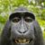 Bruce Lydic's profile image