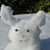 Tom Lurtz's profile image