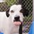 Henry D Ketter's profile image