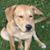 Peggy Patino's profile image