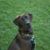 Jami Becker's profile image