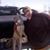 Mike Anderson's profile image