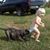 Jamison Stivers's profile image